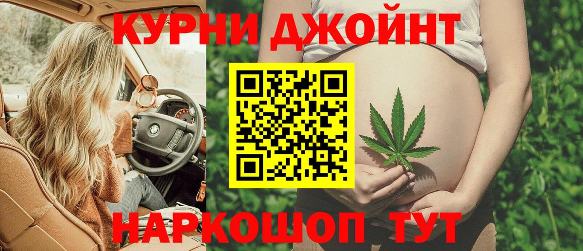 Конопля ГИДРОПОН  Бошки Шишки SATIVA & INDICA  Вход с VPN  Сунжа 